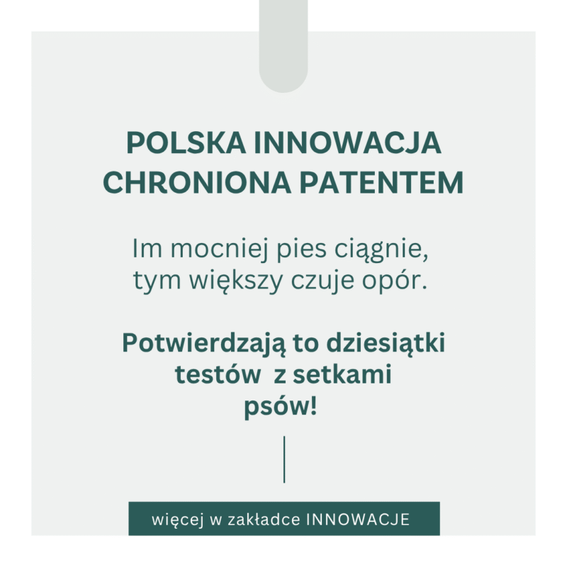 Nieprzegryzalna smycz z amortyzatorem Idealeash - obrazek 3