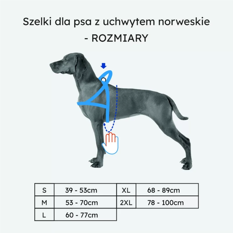 Szelki norweskie odblaskowe [likwidacja modelu] - obrazek 4