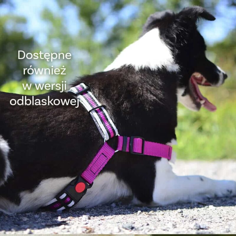 Szelki easy walk na ciągnięcie, klasyczne - obrazek 4