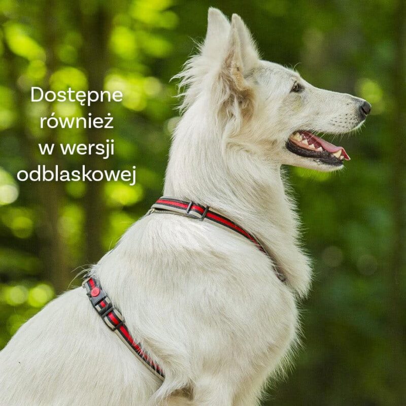 Szelki Guard Easy Walk, klasyczne - obrazek 4